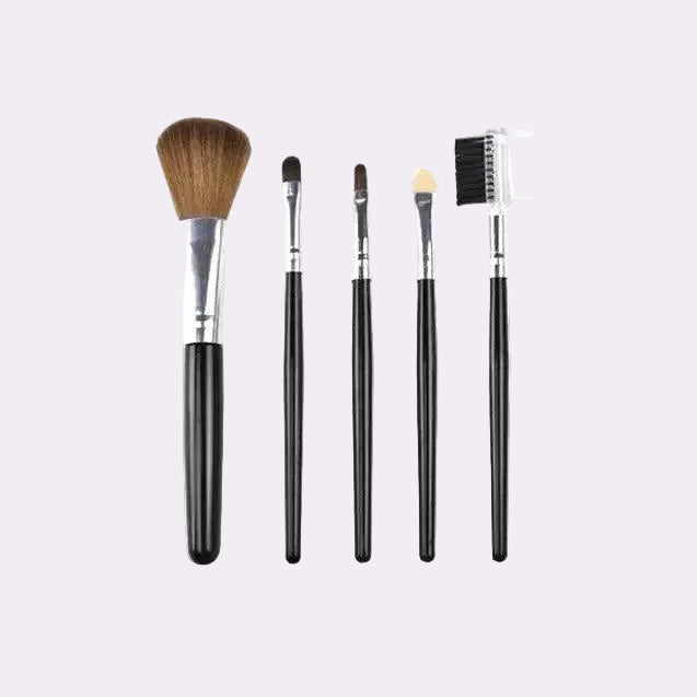 RM 5 Pcs Makeup Brush Set
