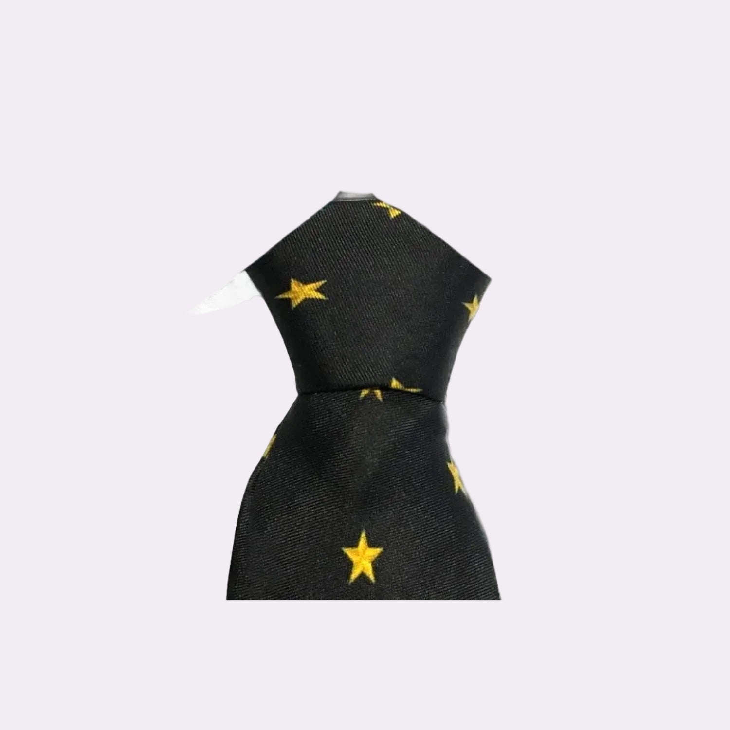SIGNATURE STAR BG SILK TIE - Rodolfo Medina