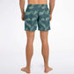 RM SUM STY TRUNKS RODOLFO MEDINA 